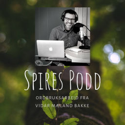 Podcast thumbnail for Spires Podd