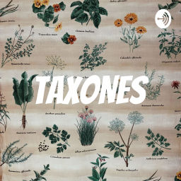 Podcast thumbnail for TAXONES