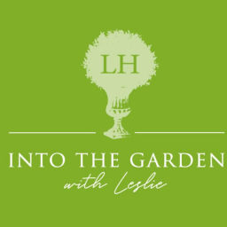 Podcast thumbnail for Into the Garden with Leslie
