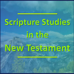 Podcast thumbnail for Scripture Studies in the New Testament - A Verse-by-Verse Bible Study