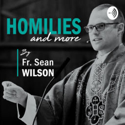 Podcast thumbnail for Homilies and more By Fr. Sean Wilson
