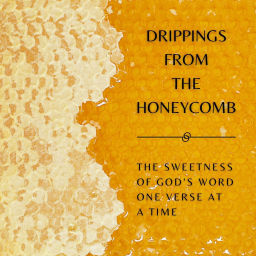 Podcast thumbnail for Drippings from the Honeycomb: The sweetness of God’s Word one verse at a time.