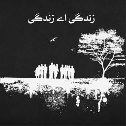Podcast thumbnail for زندگی اے زندگی