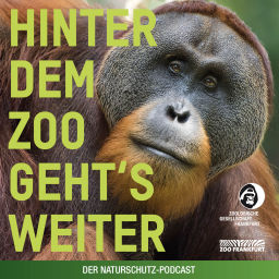Podcast thumbnail for Hinter dem Zoo geht's weiter - Der Naturschutzpodcast aus Frankfurt