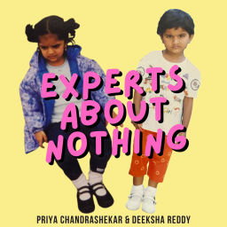 Podcast thumbnail for Experts About Nothing