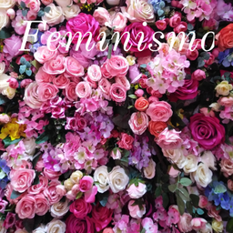Podcast thumbnail for Feminismo