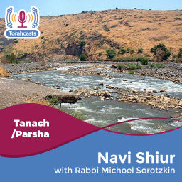 Podcast thumbnail for Navi Shiur