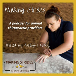 Podcast thumbnail for Making Strides for Animal Chiropractic