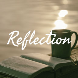 Podcast thumbnail for Reflection
