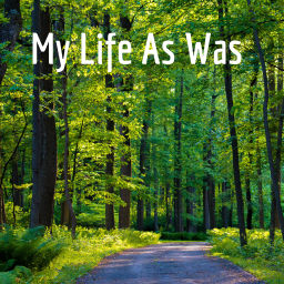 Podcast thumbnail for My Life As Was