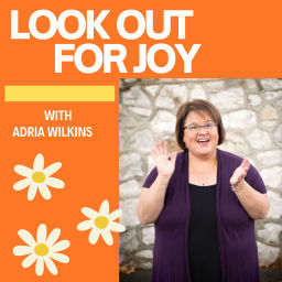 Podcast thumbnail for Look Out For Joy