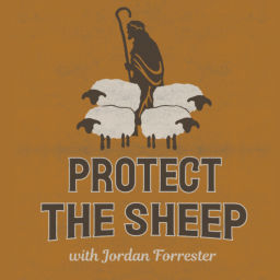 Podcast thumbnail for Protect the Sheep