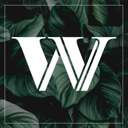 Podcast thumbnail for First Woodway