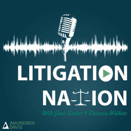 Podcast thumbnail for Litigation Nation