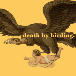 Podcast thumbnail for Death by Birding