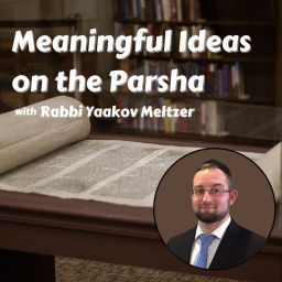 Podcast thumbnail for Meaningful Ideas on the Parsha