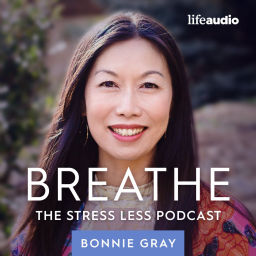 Podcast thumbnail for Breathe: The Stress Less Podcast