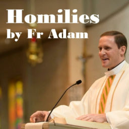 Podcast thumbnail for Homilies by Fr Adam
