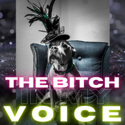 Podcast thumbnail for The Bitch in My Voice