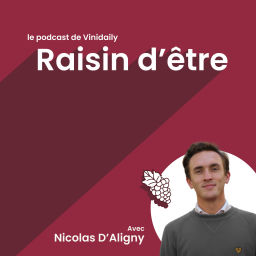 Podcast thumbnail for Raisin d'être, le podcast vin de Vinidaily
