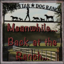 Podcast thumbnail for Meanwhile...Back at the Ranch