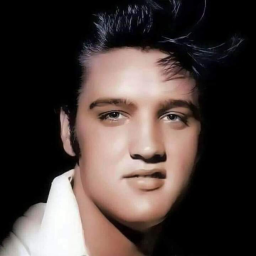 Podcast thumbnail for Elvis The Ultimate Fan Channel