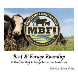 Podcast thumbnail for Beef and Forage Roundup