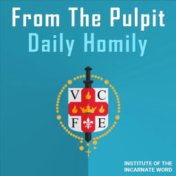 Podcast thumbnail for Daily IVE Homilies