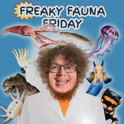 Podcast thumbnail for Freaky Fauna Friday