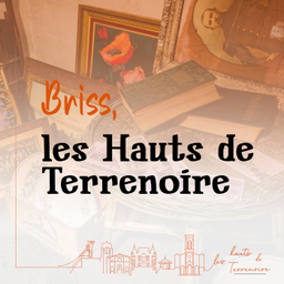 Podcast thumbnail for Briss, Les Hauts de Terrenoire