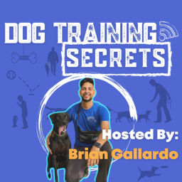 Podcast thumbnail for Dog Training Secrets