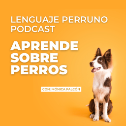 Podcast thumbnail for Lenguaje Perruno
