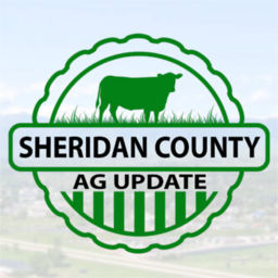 Podcast thumbnail for Sheridan County AG Update