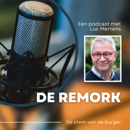 Podcast thumbnail for De Remork
