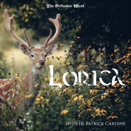 Podcast thumbnail for Lorica