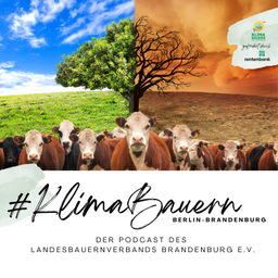 Podcast thumbnail for KlimaBauern: Der Podcast des Landesbauernverbands Brandenburg e. V.
