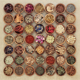 Podcast thumbnail for Wellness Through Ayurveda by Athreya Herbs
