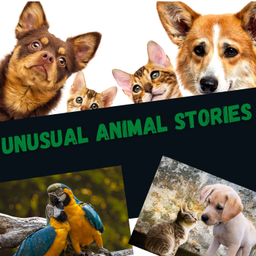 Podcast thumbnail for Unusual Animal Stories