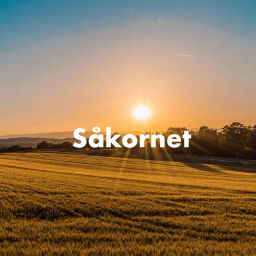 Podcast thumbnail for Såkornet ved Ove Heradstveit