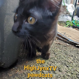 Podcast thumbnail for High Jynx