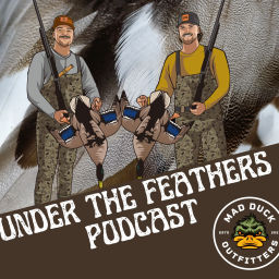 Podcast thumbnail for Under the Feathers