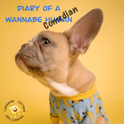 Podcast thumbnail for Diary of a Wannabe Comedian