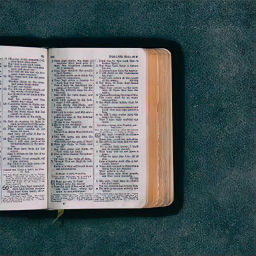 Podcast thumbnail for Daily Free Bible