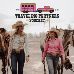 Podcast thumbnail for Traveling Partners