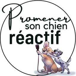 Podcast thumbnail for Promener son chien réactif
