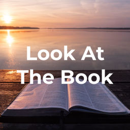 Podcast thumbnail for Look At The Book