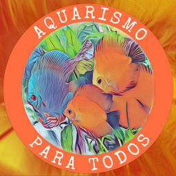 Podcast thumbnail for Aquarismo para Todos