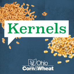 Podcast thumbnail for Kernels with Ohio Corn & Wheat