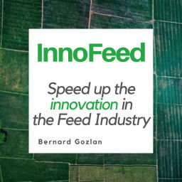 Podcast thumbnail for InnoFeed
