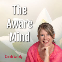 Podcast thumbnail for The Aware Mind